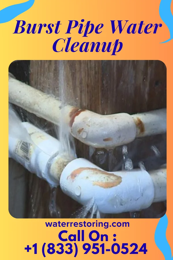 Burst Pipe Water Cleanup in New Albany, IN