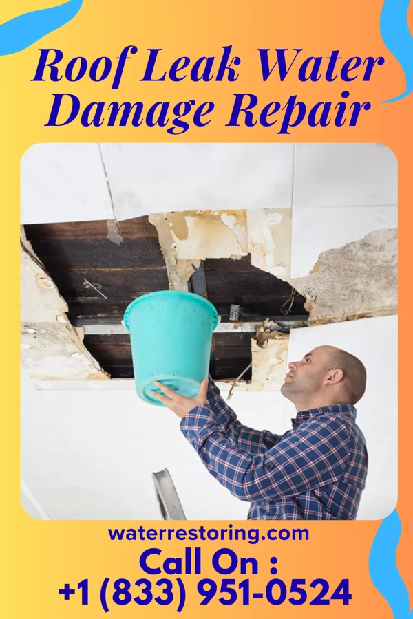 Roof Leak Water Damage Repair in New Albany, IN