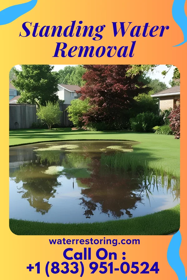 Standing Water Removal in New Albany, IN